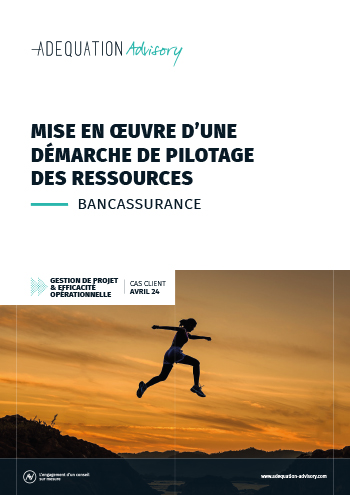 Mise en œuvre d’une démarche de pilotage des ressources